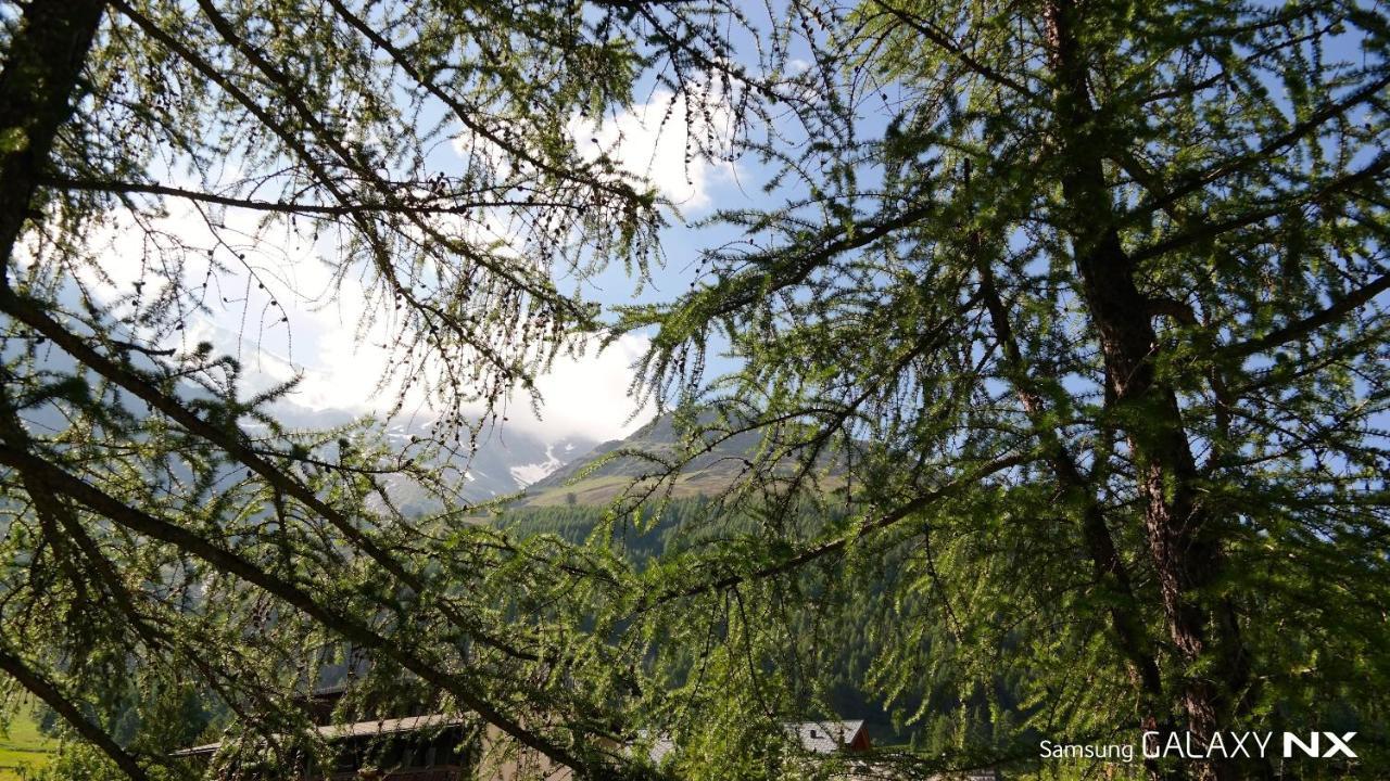 Amber Ski-In/Out Hotel & Spa Saas Fee Extérieur photo